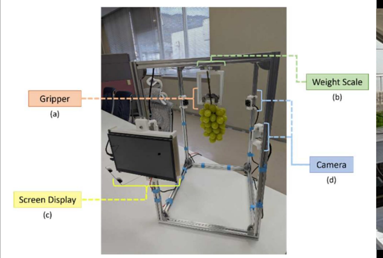 ぶどう等級判定システムの試作機。グリッパー、重量計、カメラ、表示画面を備え、房を吊るして計測する。