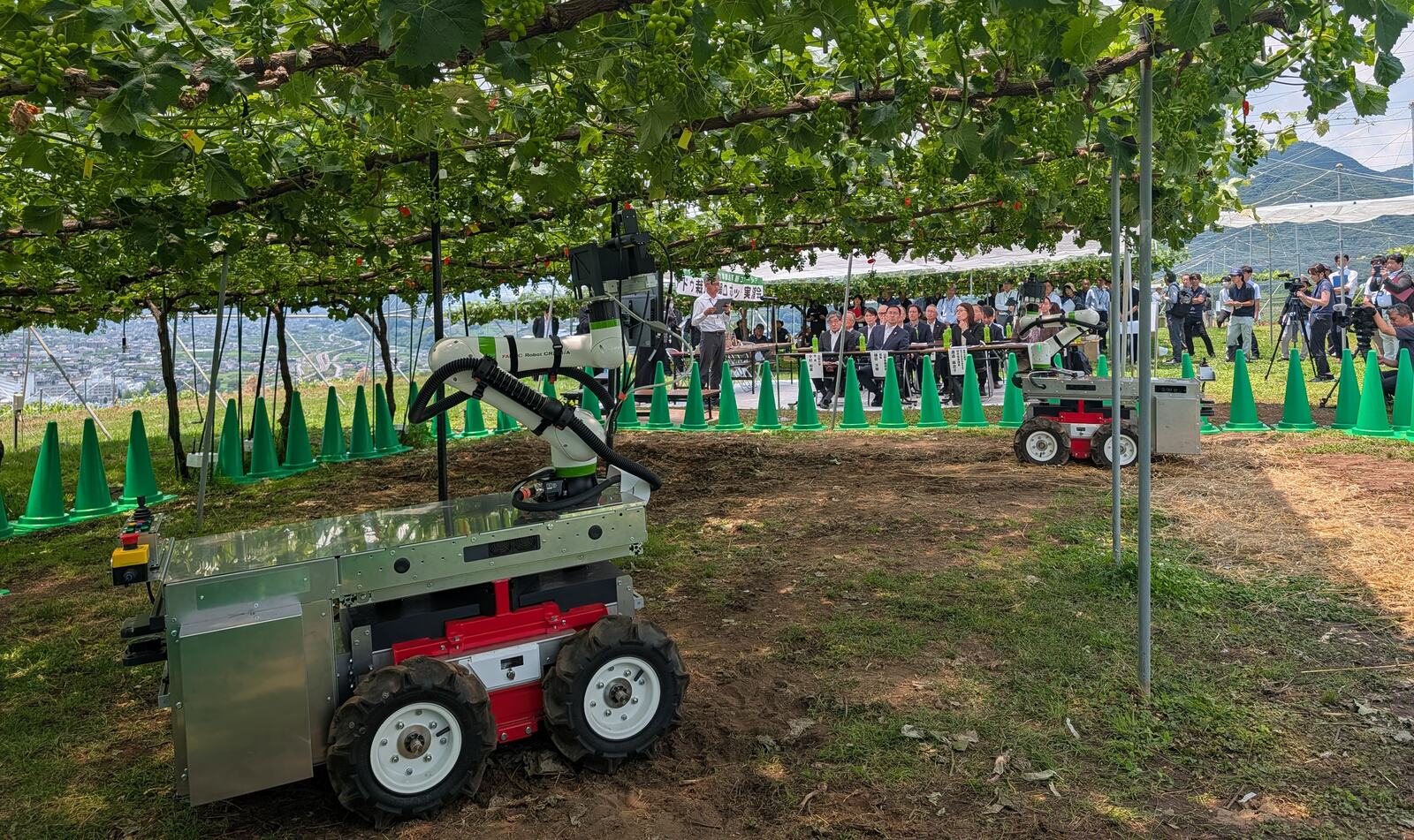 走行台車の上に協働ロボットアームを搭載した、ぶどう摘粒ロボット。ぶどう園で走行しながら作業する。