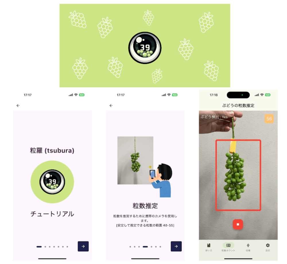 粒羅の画面。チュートリアル、粒数推定の説明、そして房を検出して粒数を表示している実際の画面。